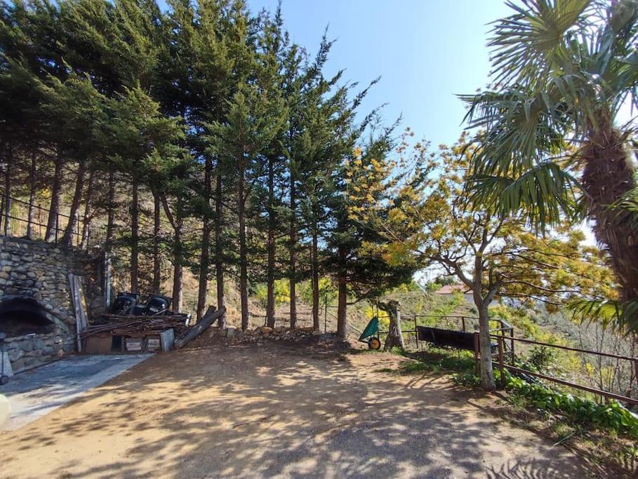 Gasthaus Detached House With Garden And Sea View Sanremo Exterior foto