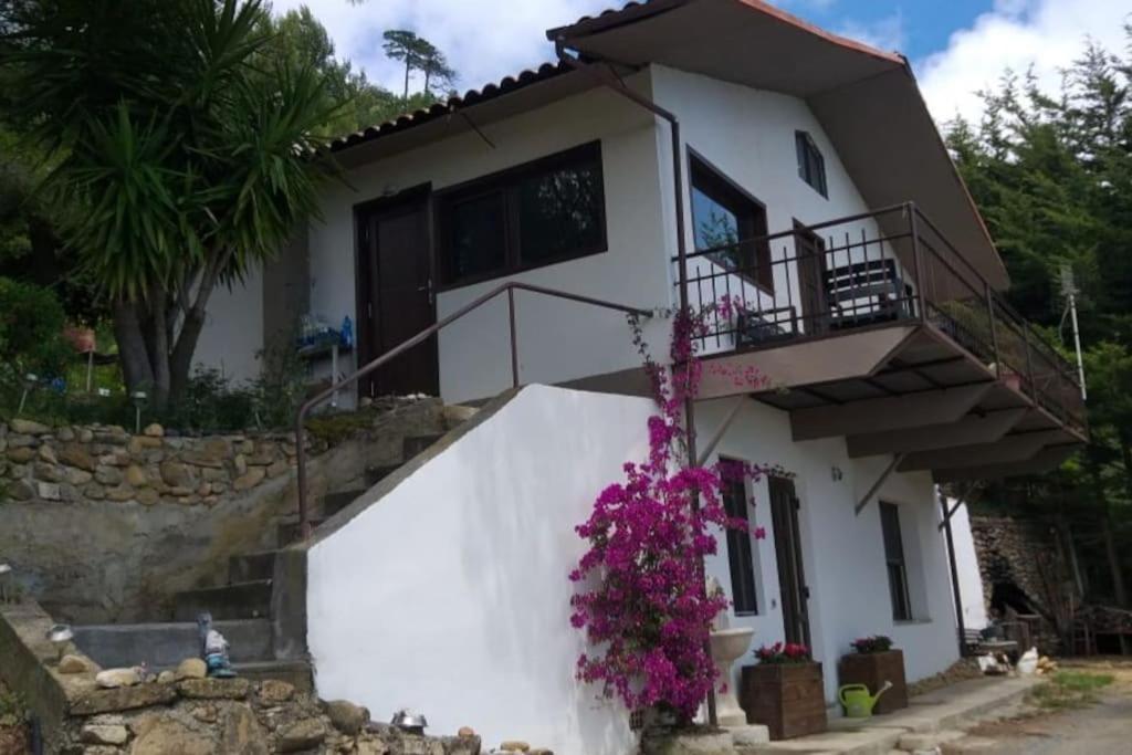 Gasthaus Detached House With Garden And Sea View Sanremo Exterior foto